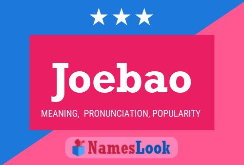 ملصق اسم Joebao