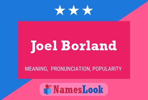 ملصق اسم Joel Borland