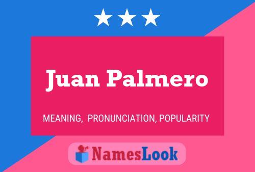 ملصق اسم Juan Palmero