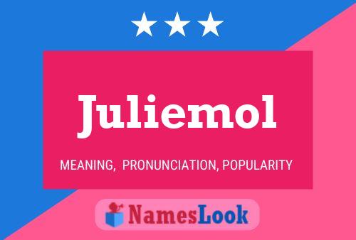 ملصق اسم Juliemol