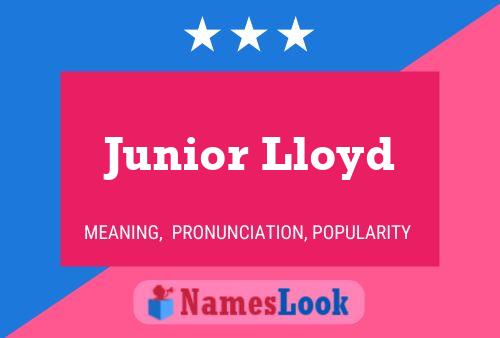 ملصق اسم Junior Lloyd