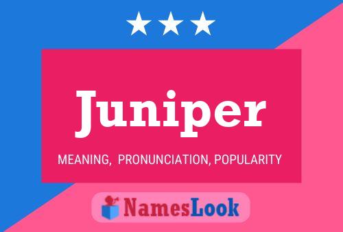 ملصق اسم Juniper