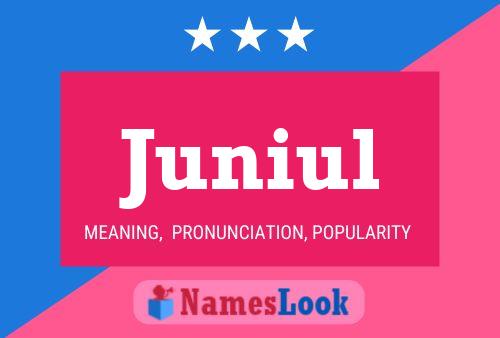 ملصق اسم Juniul