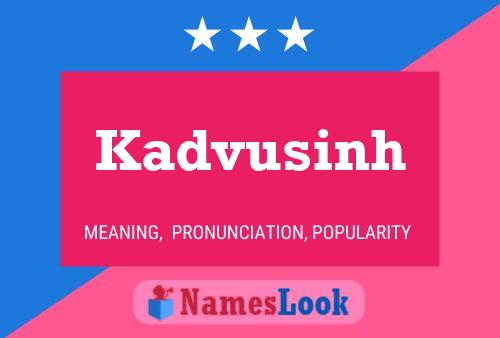 ملصق اسم Kadvusinh