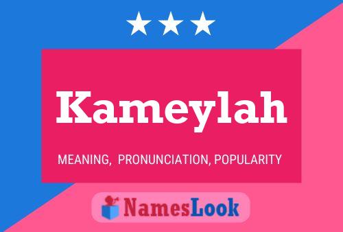 ملصق اسم Kameylah