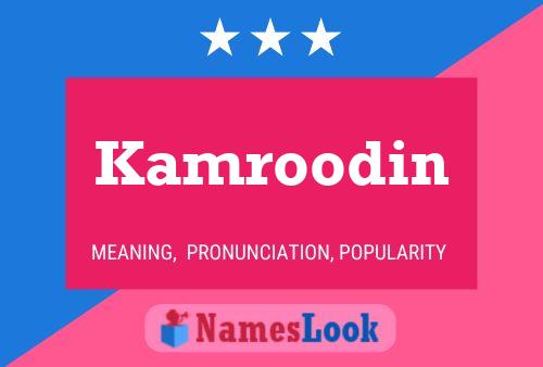 ملصق اسم Kamroodin