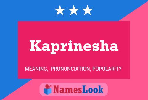 ملصق اسم Kaprinesha