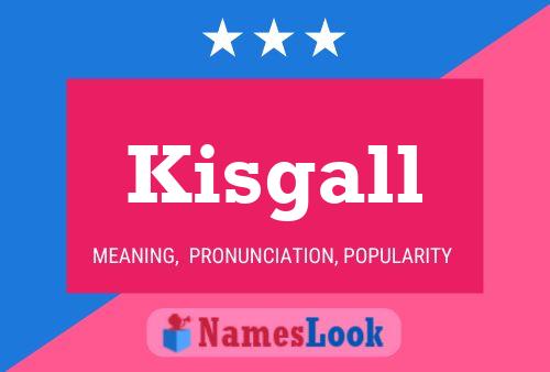 ملصق اسم Kisgall