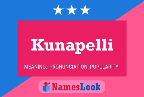 ملصق اسم Kunapelli