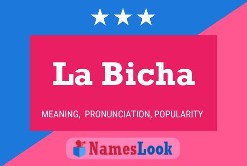 ملصق اسم La Bicha