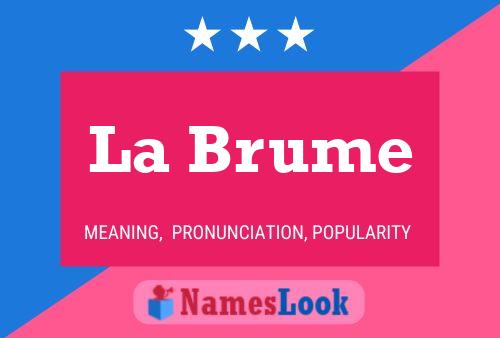 ملصق اسم La Brume