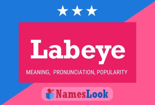 ملصق اسم Labeye