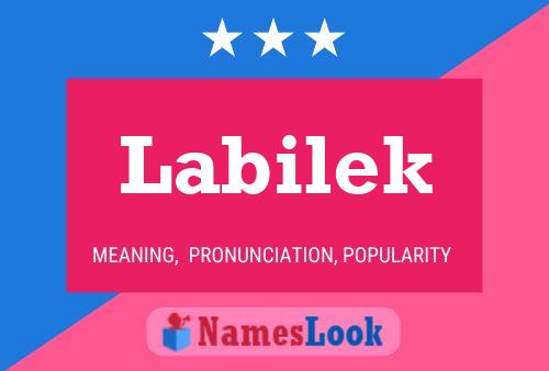 ملصق اسم Labilek