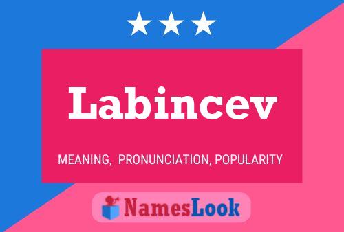 ملصق اسم Labincev