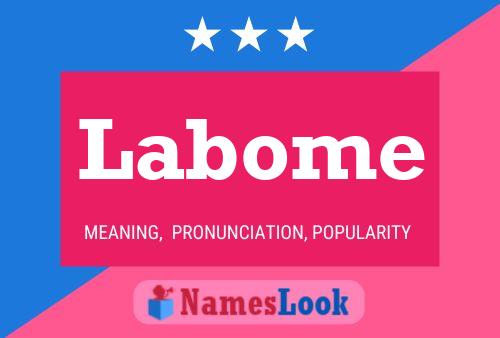 ملصق اسم Labome