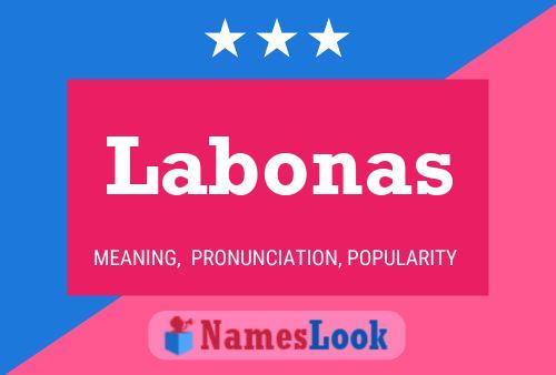 ملصق اسم Labonas