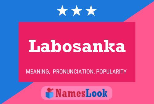 ملصق اسم Labosanka