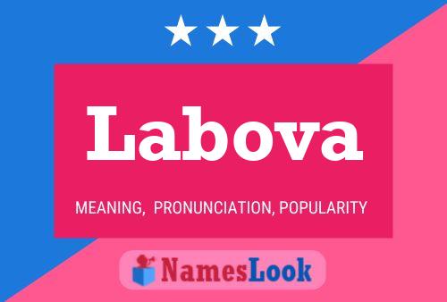 ملصق اسم Labova