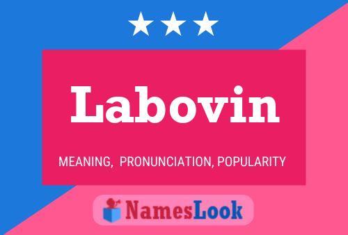 ملصق اسم Labovin