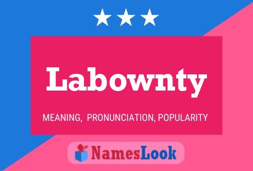 ملصق اسم Labownty