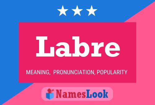 ملصق اسم Labre