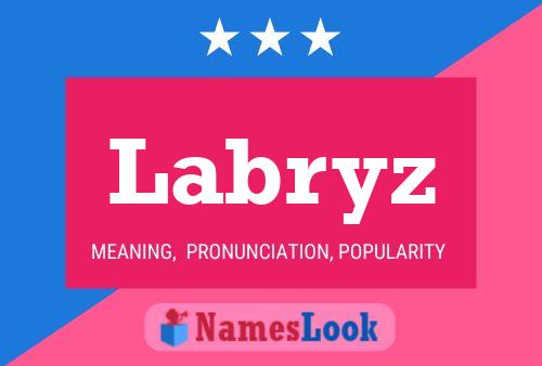 ملصق اسم Labryz