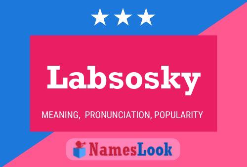 ملصق اسم Labsosky