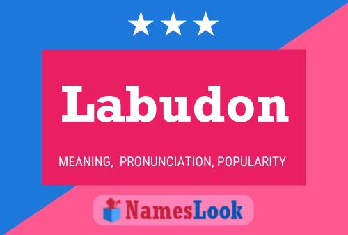 ملصق اسم Labudon