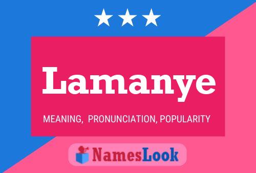 ملصق اسم Lamanye