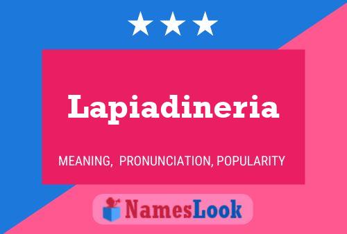 ملصق اسم Lapiadineria