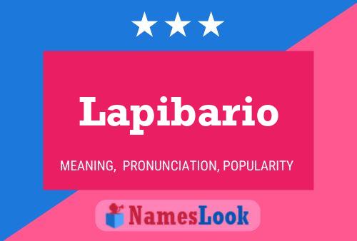 ملصق اسم Lapibario