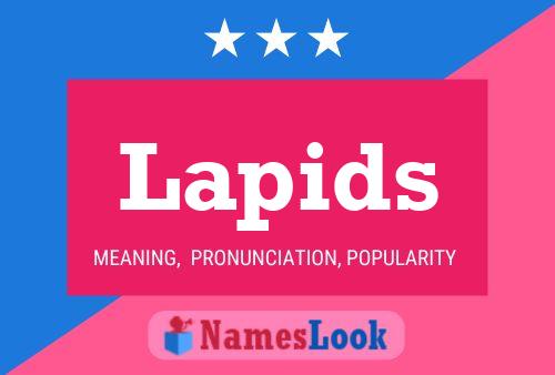 ملصق اسم Lapids