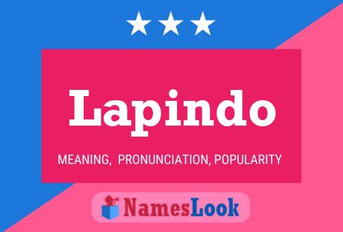 ملصق اسم Lapindo