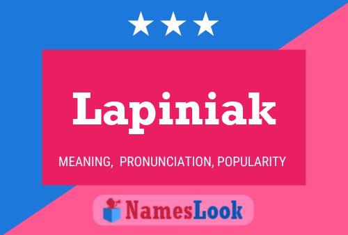 ملصق اسم Lapiniak