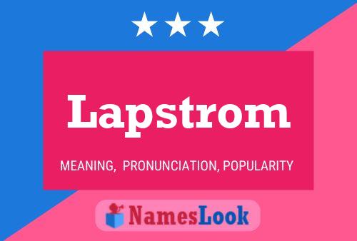 ملصق اسم Lapstrom