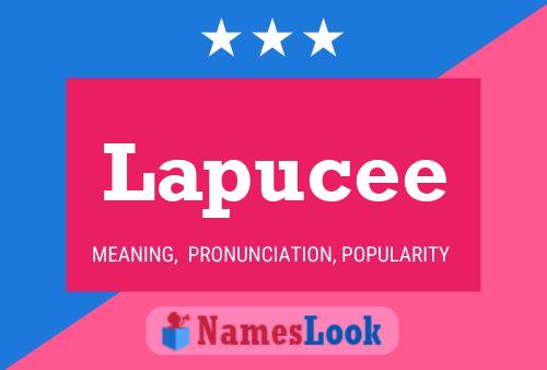 ملصق اسم Lapucee