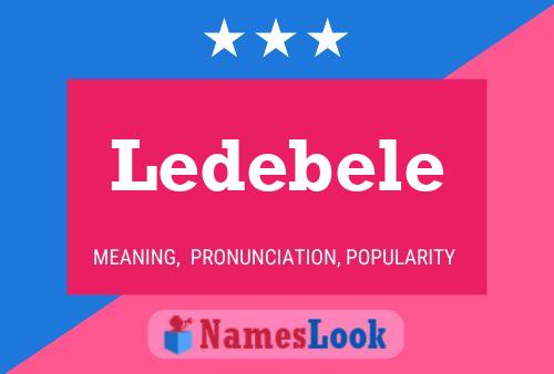 ملصق اسم Ledebele