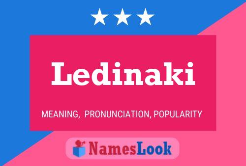 ملصق اسم Ledinaki