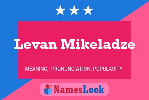 ملصق اسم Levan Mikeladze