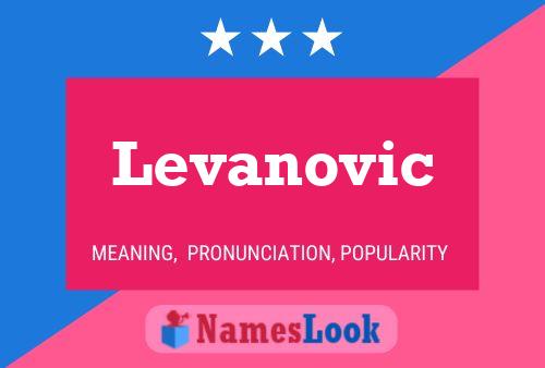 ملصق اسم Levanovic