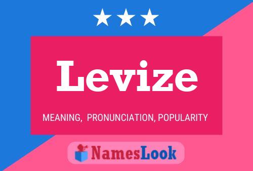 ملصق اسم Levize