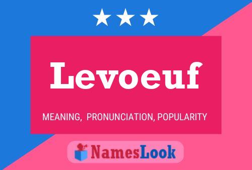 ملصق اسم Levoeuf