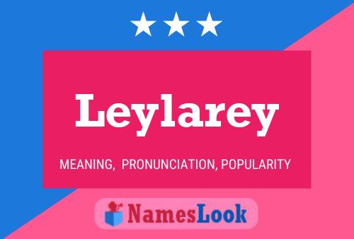 ملصق اسم Leylarey