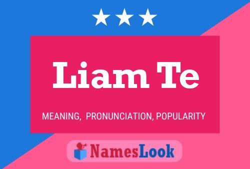 ملصق اسم Liam Te