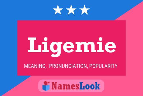 ملصق اسم Ligemie