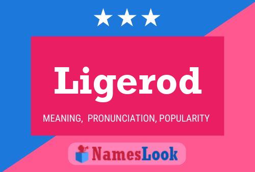 ملصق اسم Ligerod