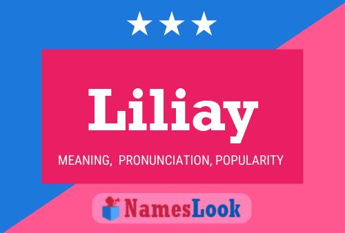 ملصق اسم Liliay