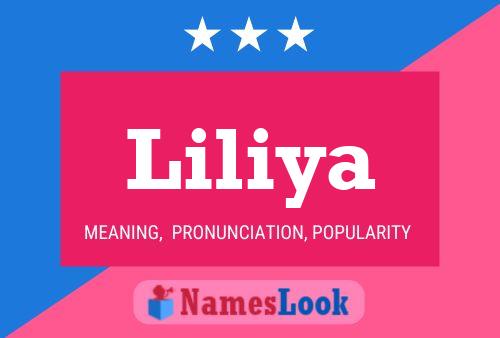 ملصق اسم Liliya