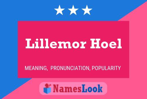 ملصق اسم Lillemor Hoel