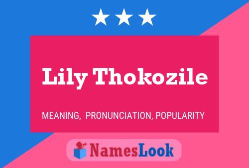 ملصق اسم Lily Thokozile